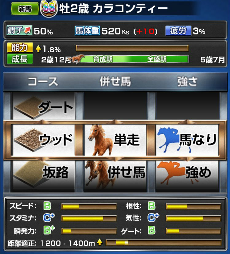 カラコンティー再現幼駒 (1)