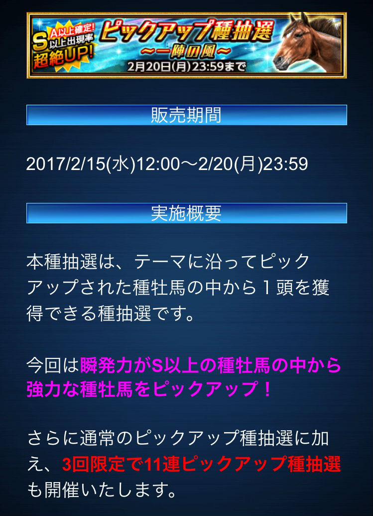 ピックアップ種抽選0216 (1)