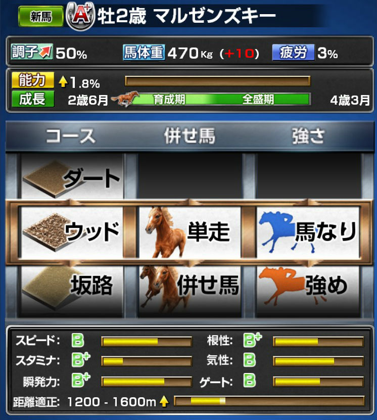 マルゼンスキー再現馬 (1)