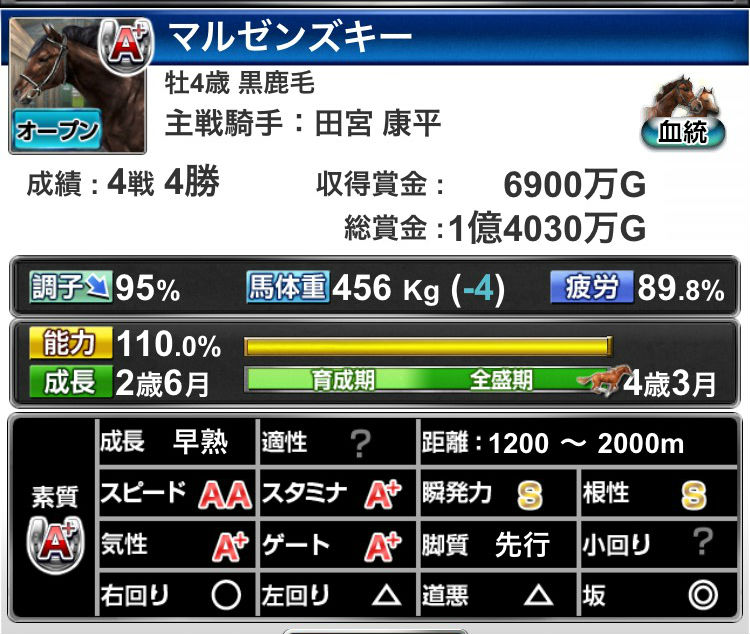 マルゼンスキー再現馬 (3)