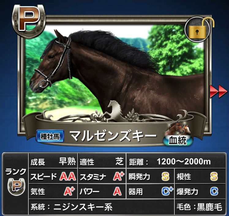 マルゼンスキー再現馬 (4)