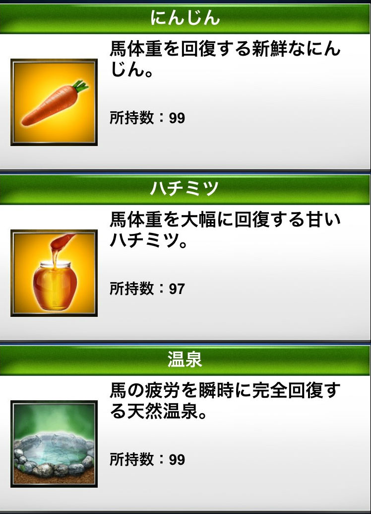 アイテム記録 (10)
