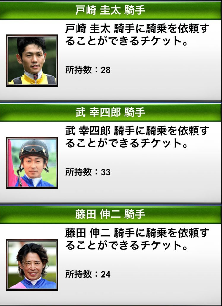 アイテム記録 (13)
